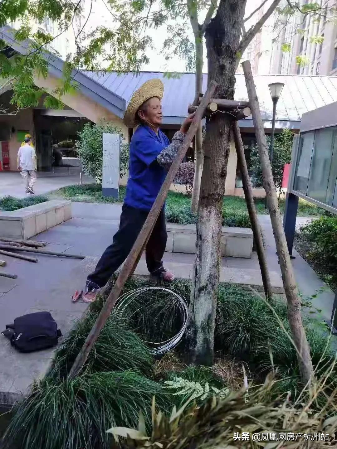 烟花过境宁波,烟花过境淮北