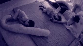 搞笑gif永远不要相信任何人,朋友圈gif背景搞笑