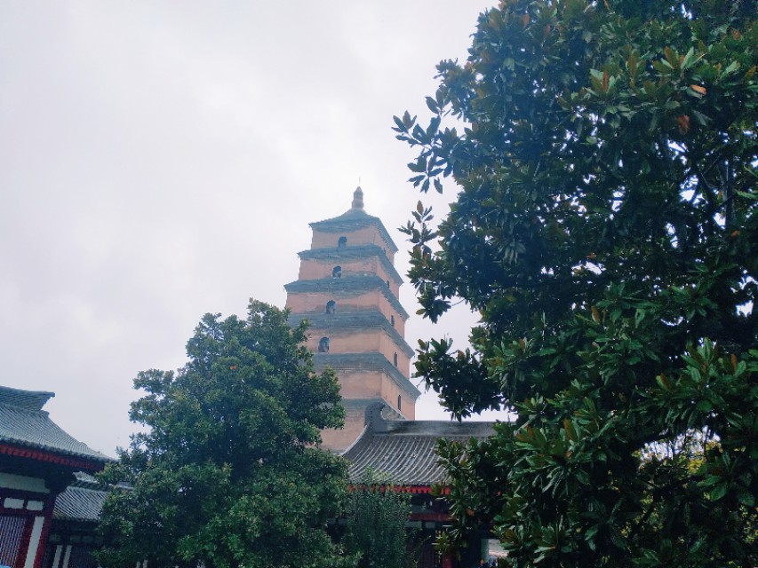 陕西省最有历史文化的县城,陕西历史文化名城有几个