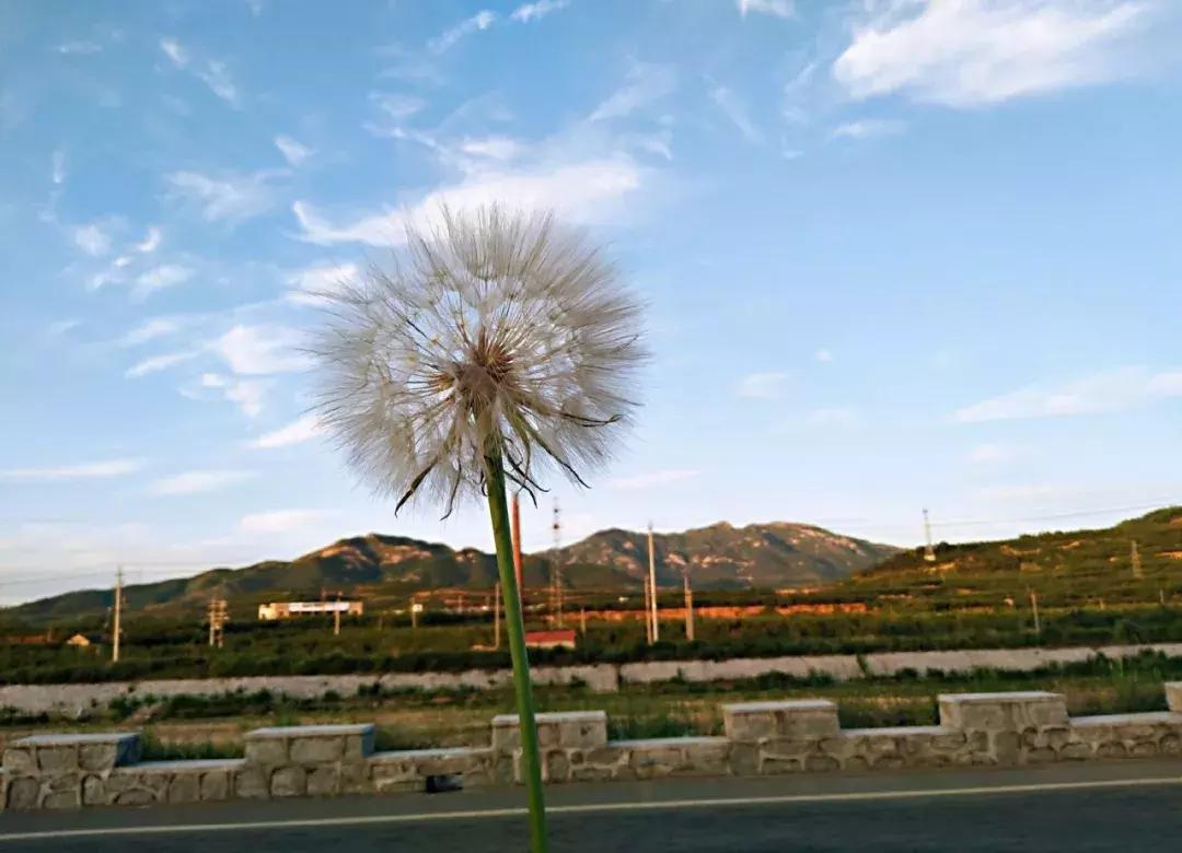 等一个人陪我旅游,等一个人陪我一起跨年