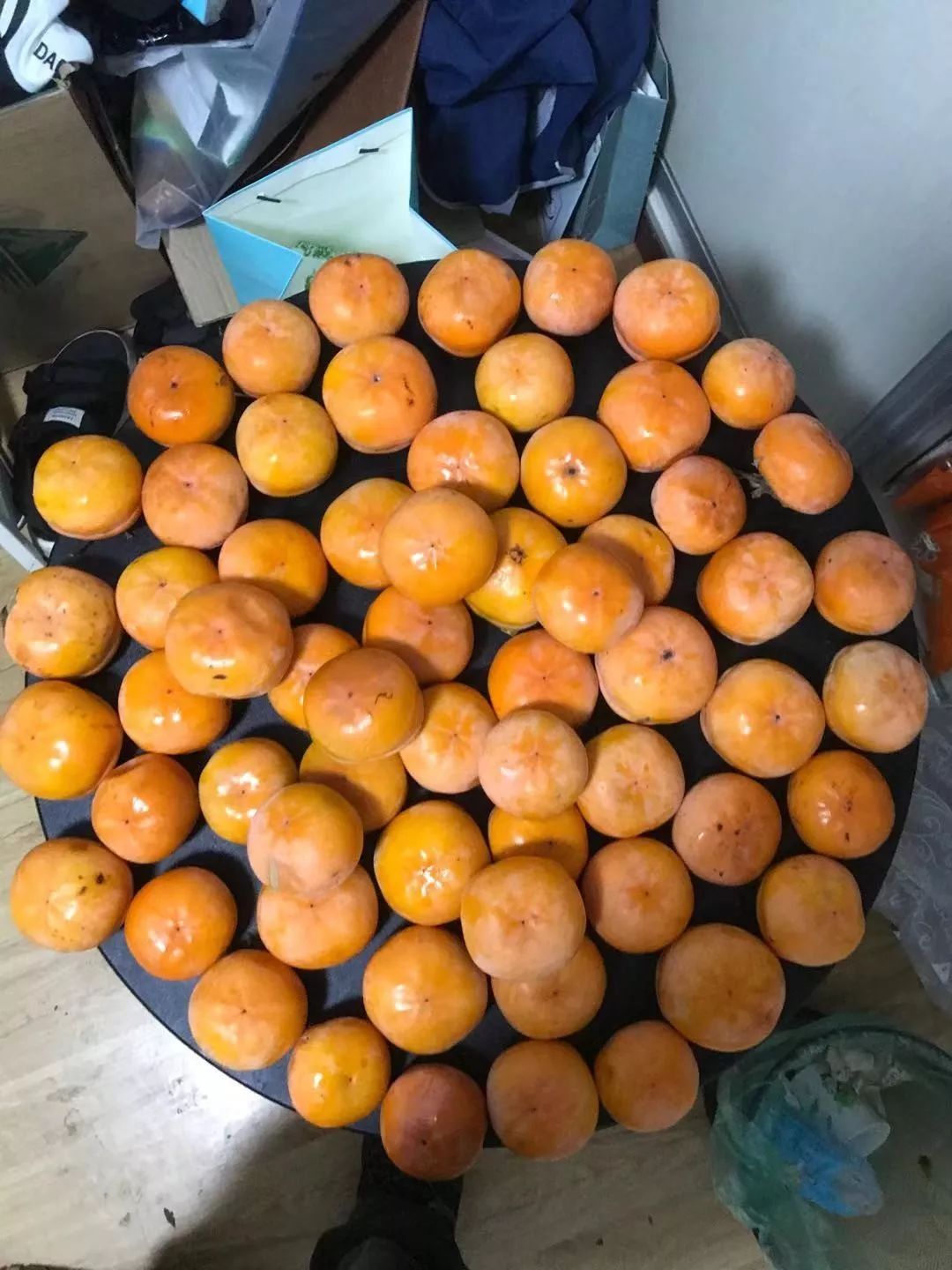 房山南北梯摘柿子,冬天去清凉山摘柿子