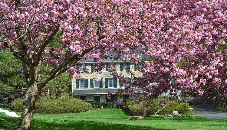 美国寄宿中学特色介绍,美国女子寄宿学校排名