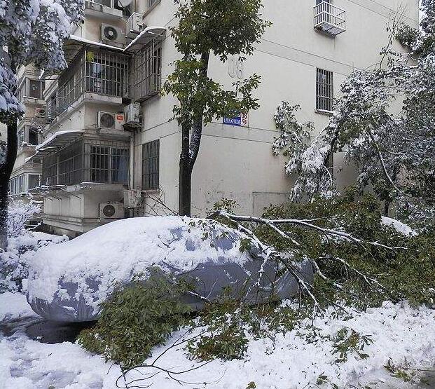 雨雪天开车必备,雨雪天气车辆开车注意事项