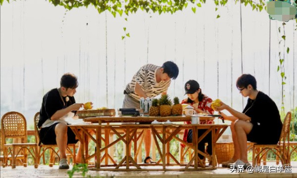 蘑菇屋导演复盘,蘑菇屋导演谈苏醒