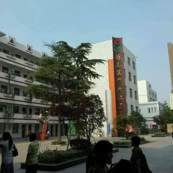 庐阳高中2017分数线,庐阳高中录取分数线2019