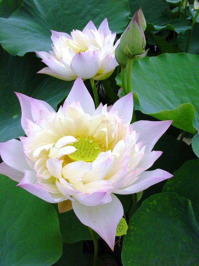 励志人生感悟正能量句子经典,正能量励志激情经典语录