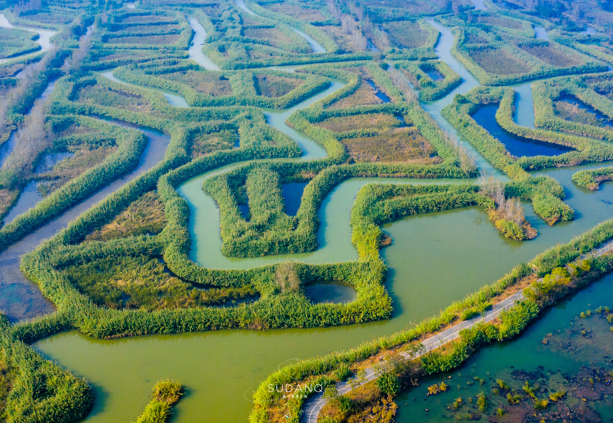 江苏泗洪的风景,江苏的苏南和苏北有什么区别