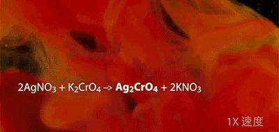 孩子暑期必看的50部神级纪录片,适合孩子和家长一起看的纪录片