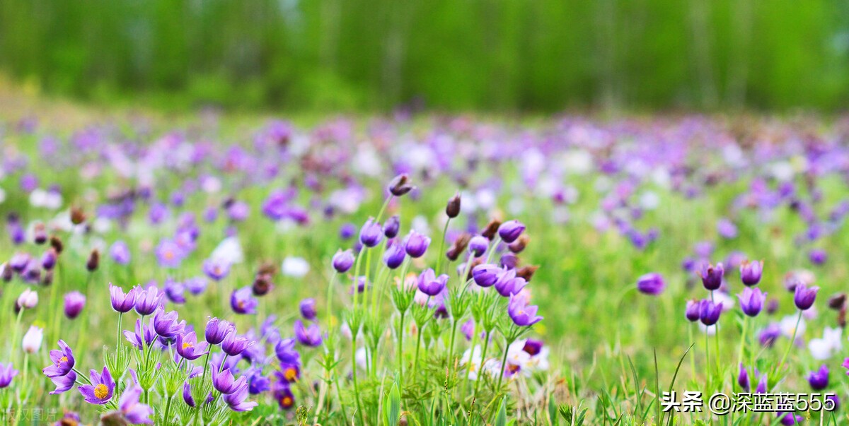 那年那月，我们的称呼作者：深蓝蓝555