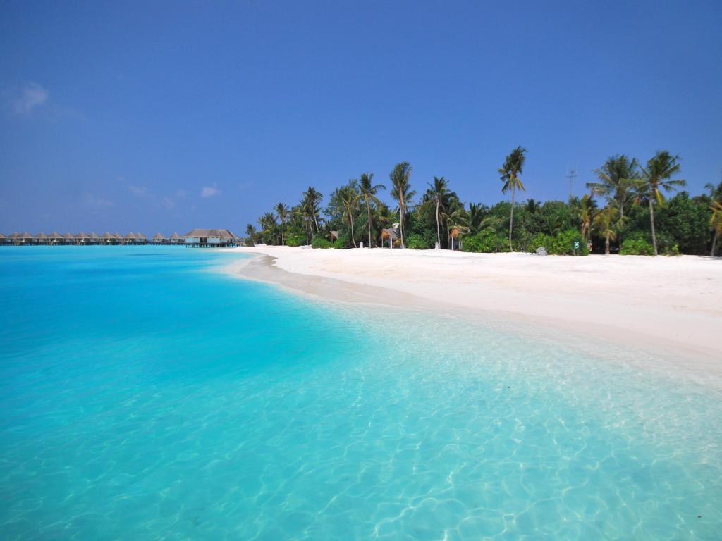 马尔代夫萨芙莉岛排名,马尔代夫萨芙丽岛