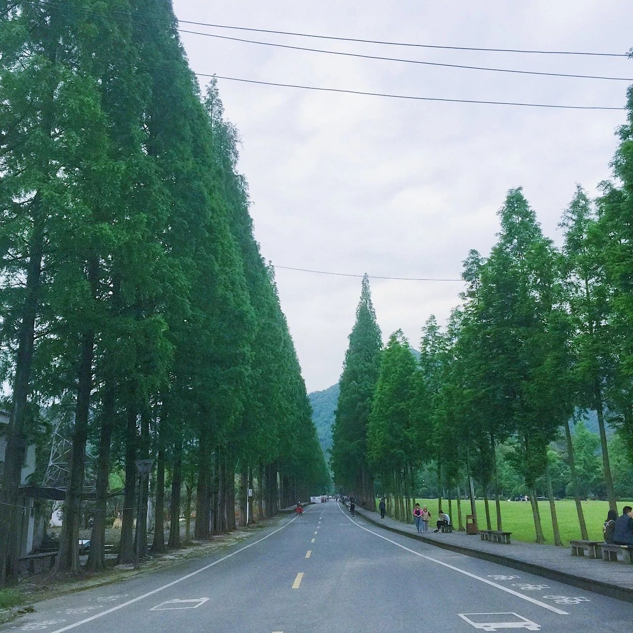 有一种修行叫俗世修行,有一种修行叫止语