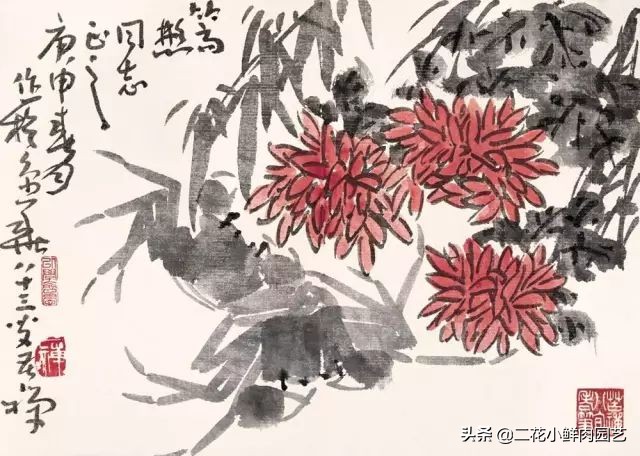 100种花卉绘画,100多张花卉线描手稿素材赶快收藏