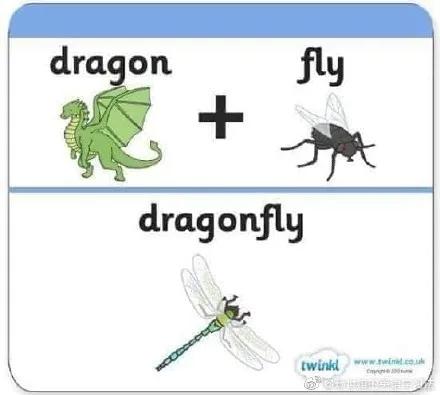 cat是什么词,cat是猫的意思吗