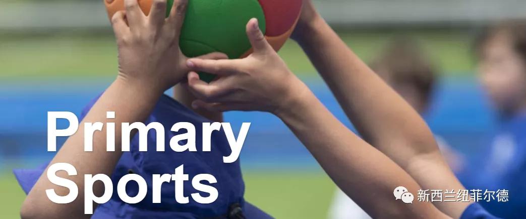 新西兰三大名牌学校,新西兰有没有排名高的学校