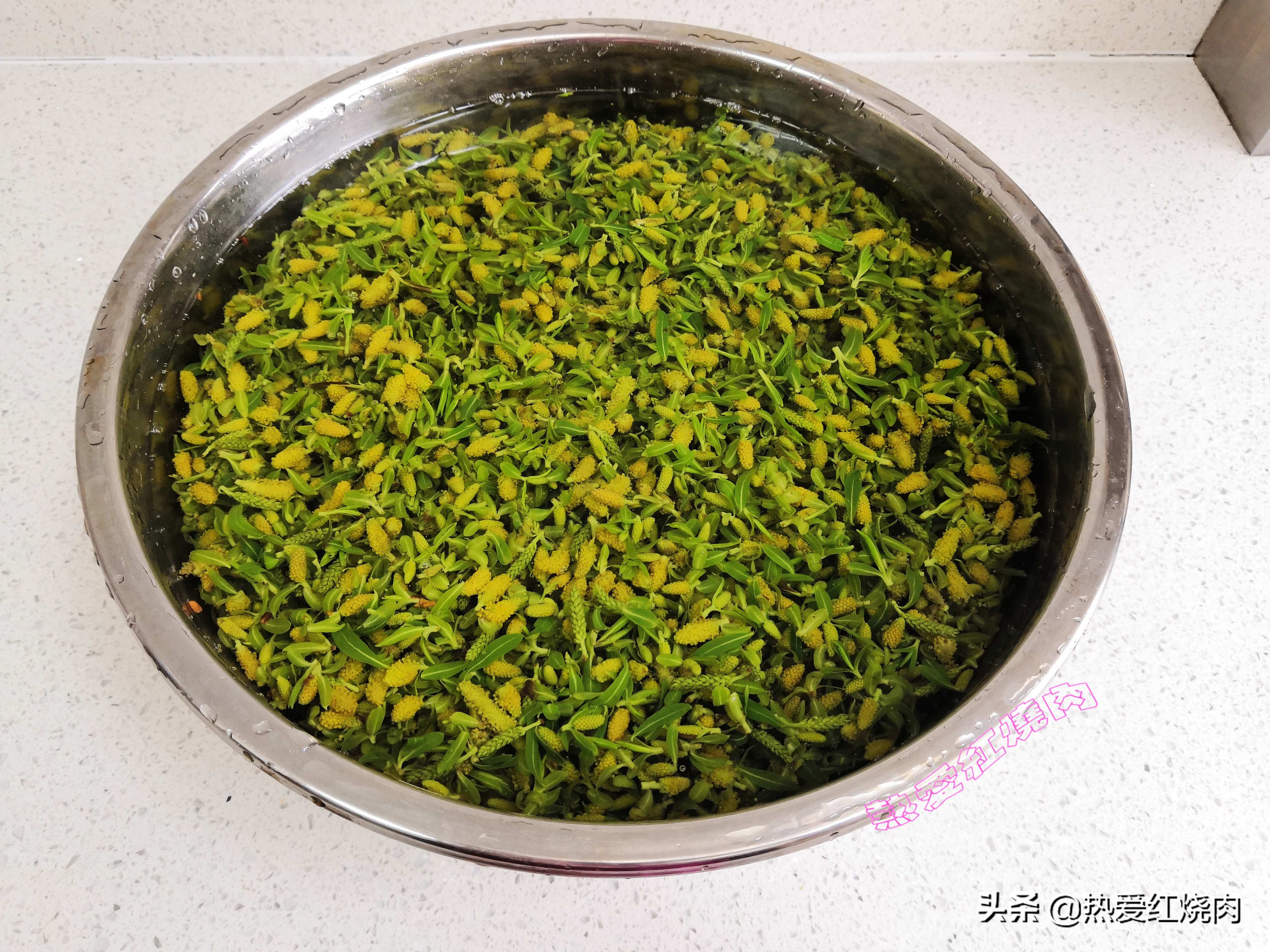 春天各种树芽的吃法,树芽的正确吃法