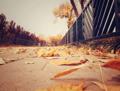 做代驾3年赚了120万,负债40万女孩做代驾