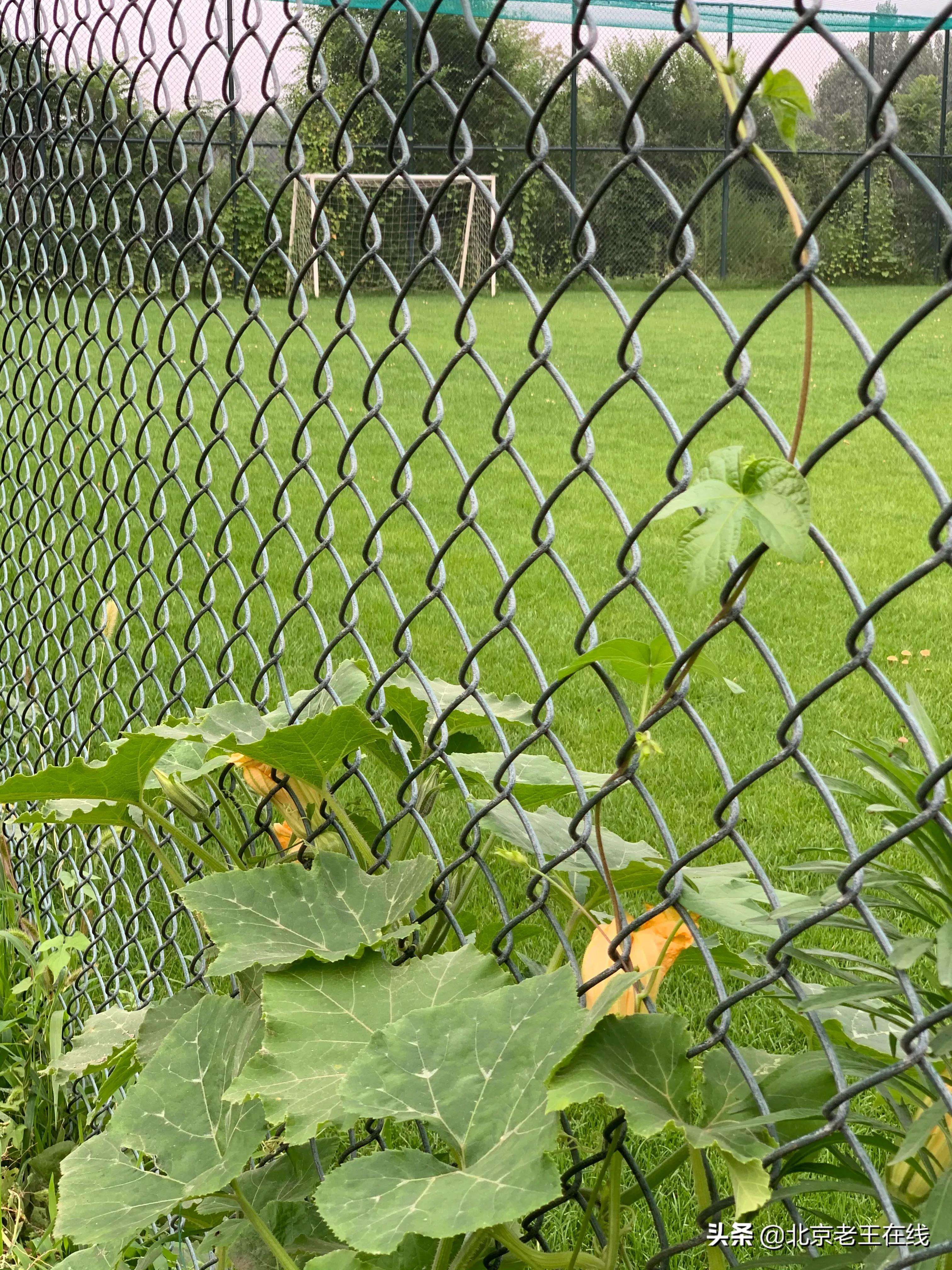 密云深山有什么好玩的地方,密云野游的好地方