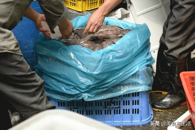 国内有名的海鲜市场,并不是北京新发地,而是广东黄沙水产市场