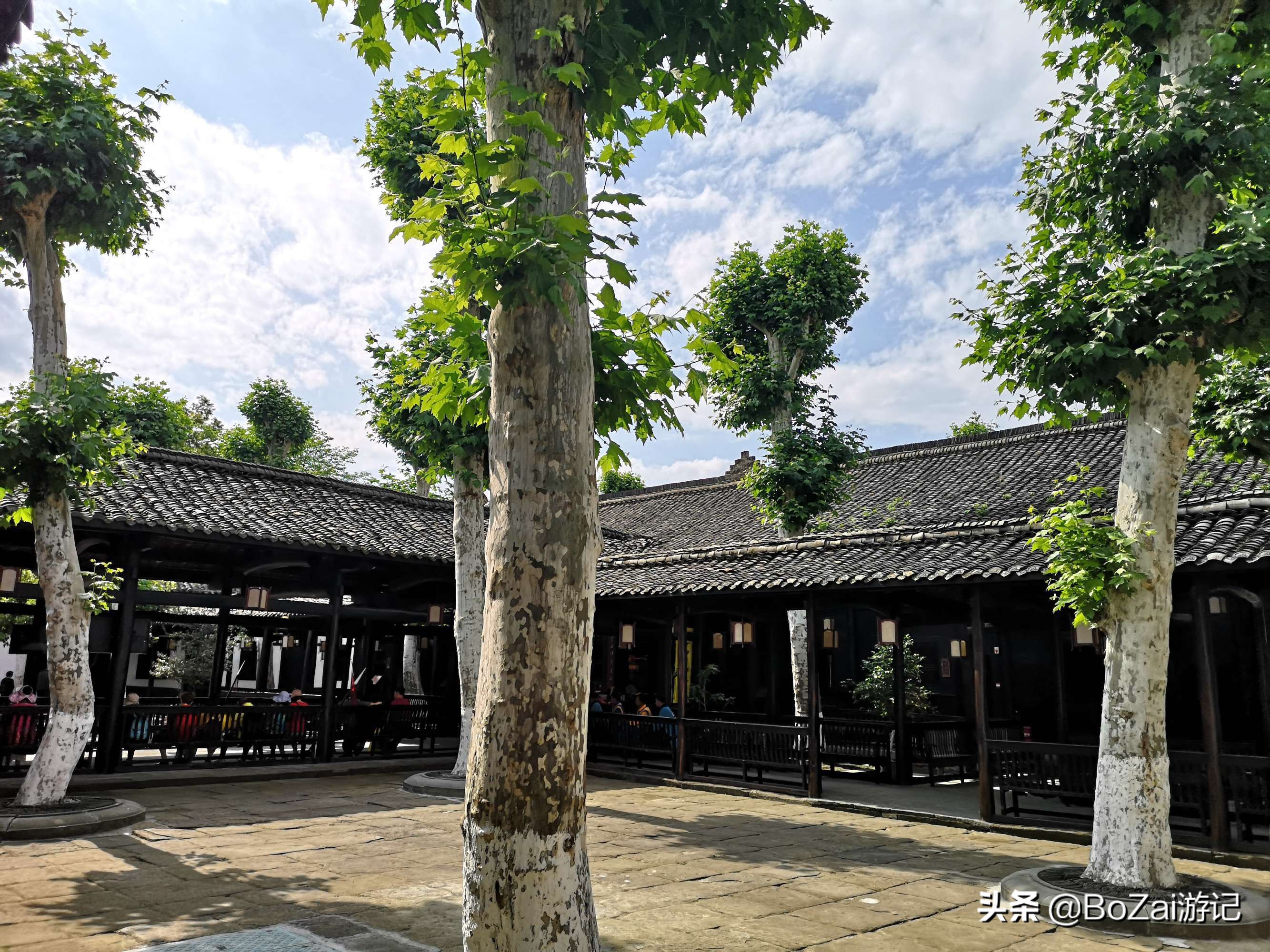 去四川南充都有哪些好耍的,南充市区最好的景点排名前十