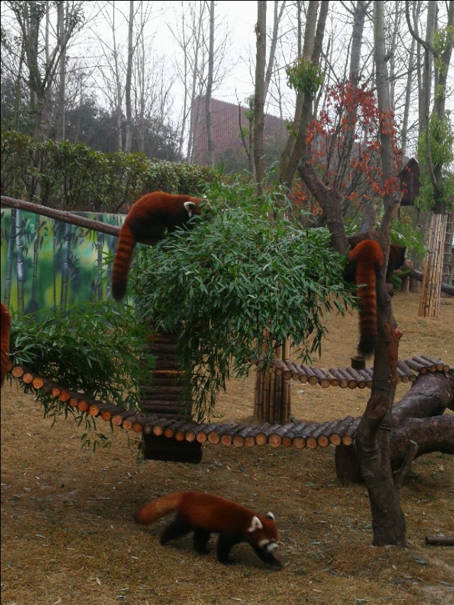 南京江宁区紫清湖温泉度假酒店,南京江宁紫清湖温泉度假村