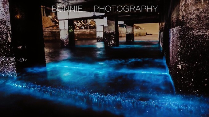 嵊泗列岛五天四夜旅游攻略,4月初嵊泗列岛2天一晚旅游攻略