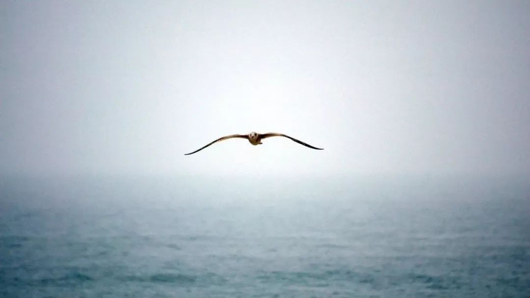 早恋怎么办？这位名师的化解高招，值得借鉴！