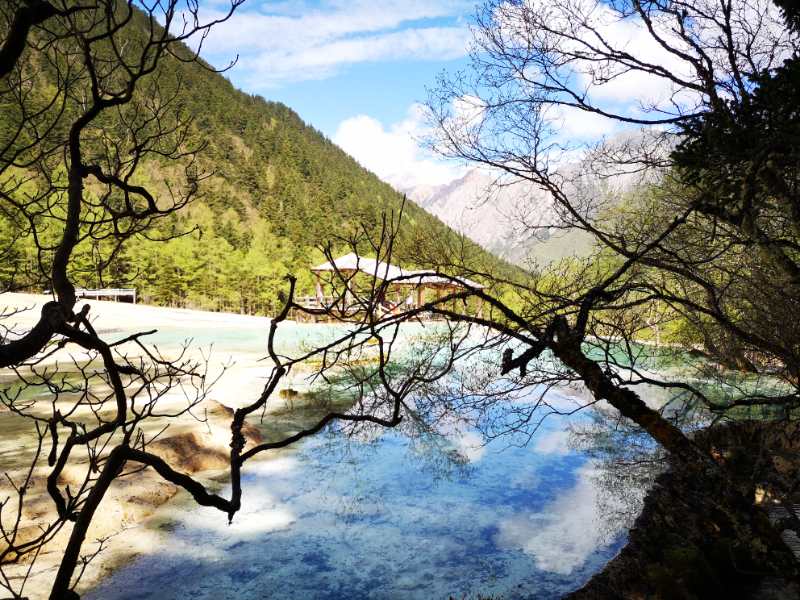 游览被誉为人间瑶池的四川黄龙,黄河之水天上来景区视频