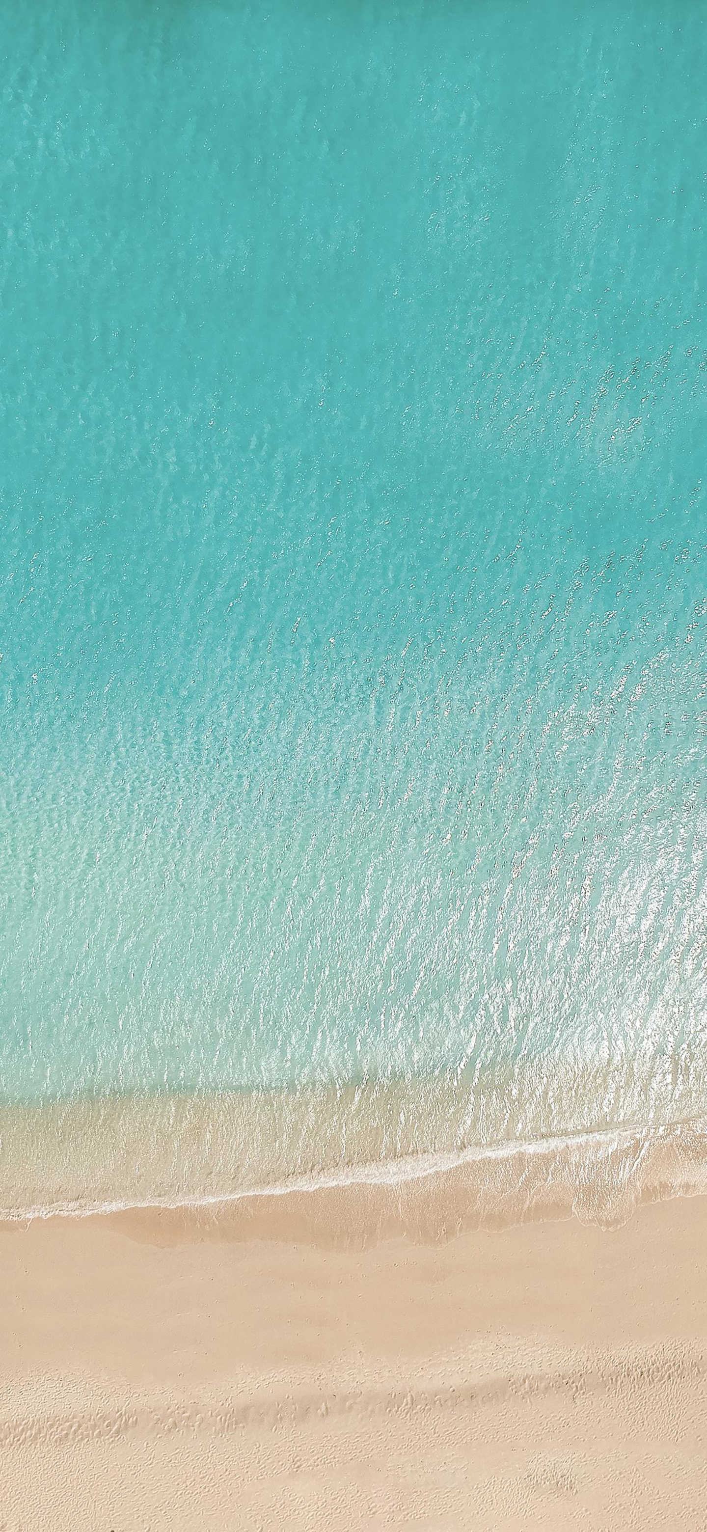 蓝天大海沙滩椰树图片高清壁纸,太阳蓝天大海海鸥的壁纸