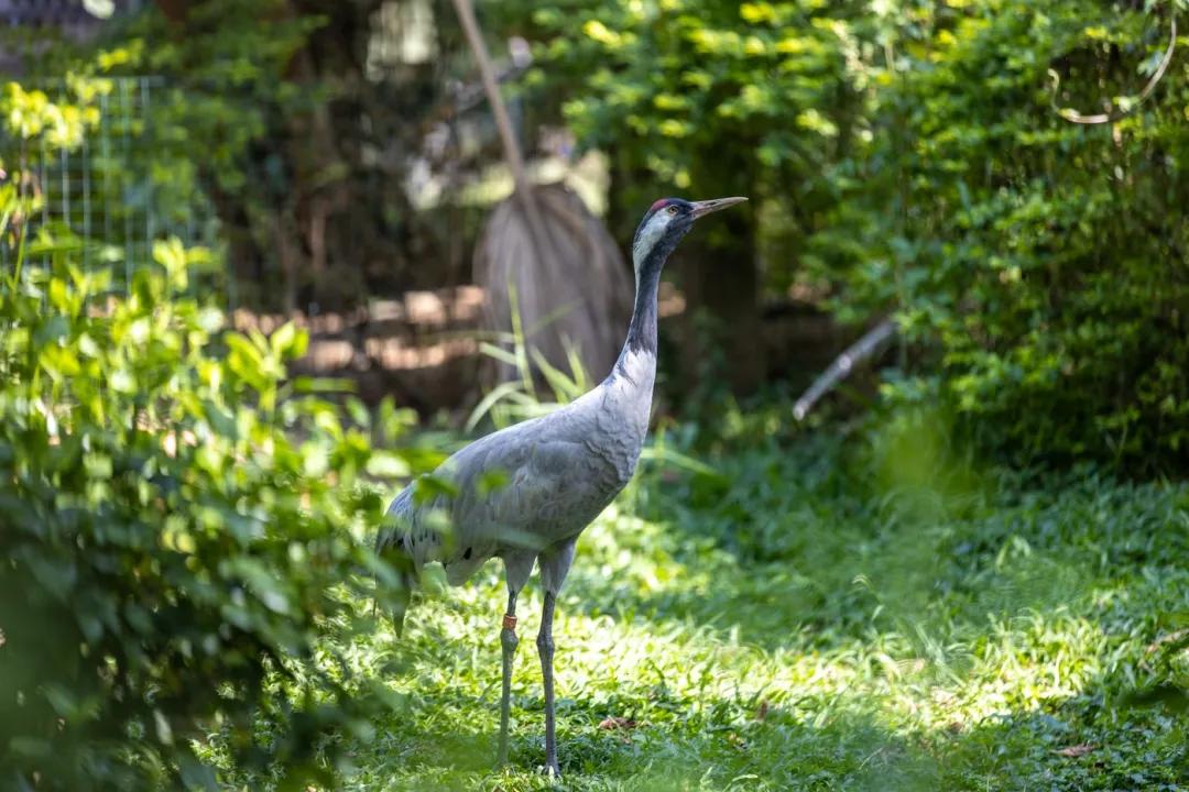 深圳适合带孩子玩的地方推荐免费,深圳免费适合小孩玩的地方室内