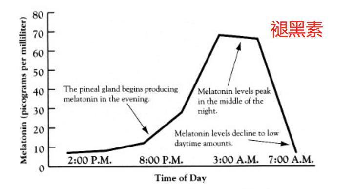 为何有人运动后难以入睡?好睡眠好身体,掌握5点,提升睡眠质量