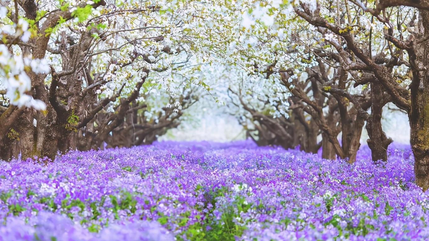 浅谈全国34个省级区域之华东篇：江苏省—宿迁市