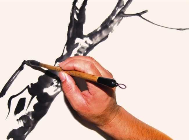 国画教程零基础入门树的画法,国画花卉线稿教程大全