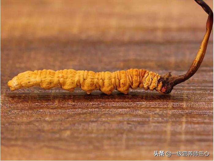 炖鸡汤鲜虫草花好还是干虫草花好,冬虫夏草和虫草花一起炖汤可以吗