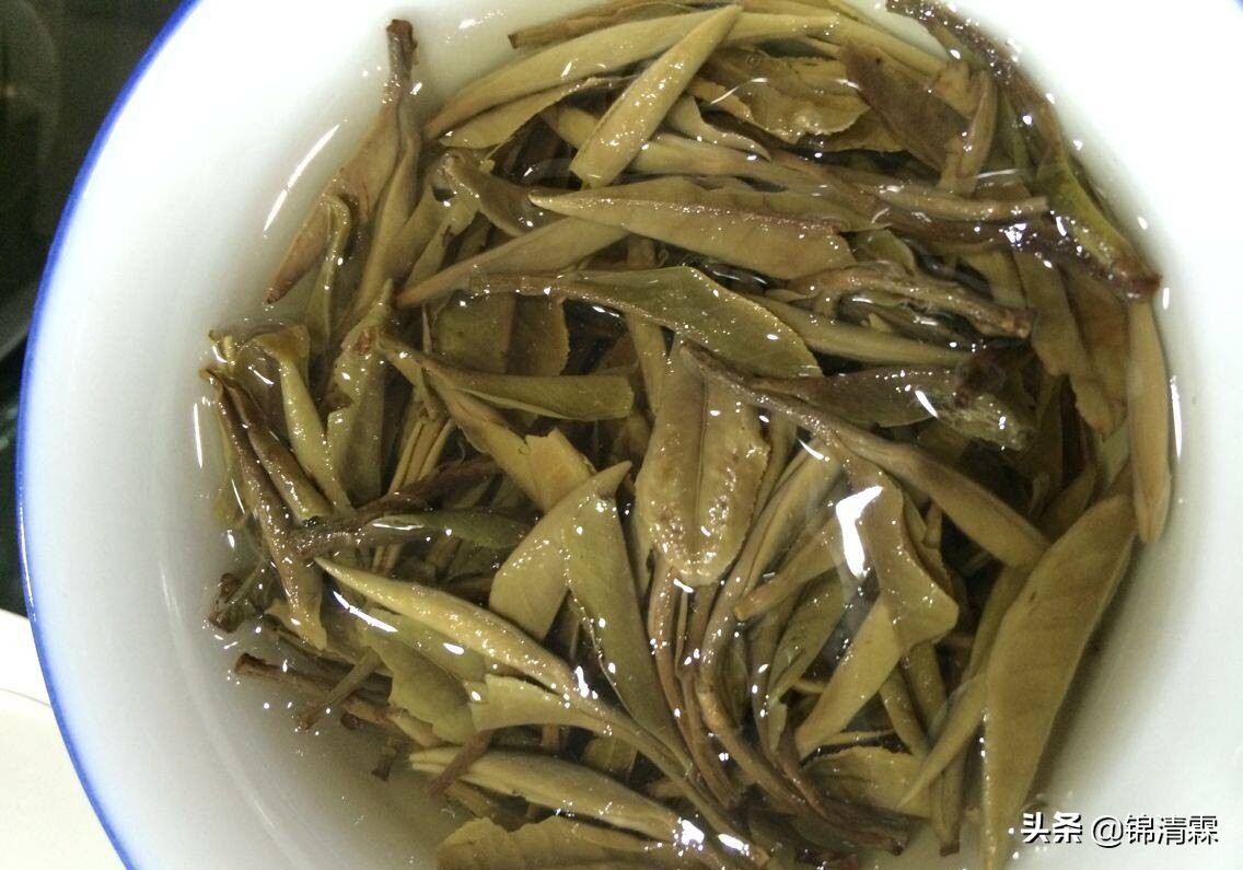 白茶的九大特点,白茶应该什么味