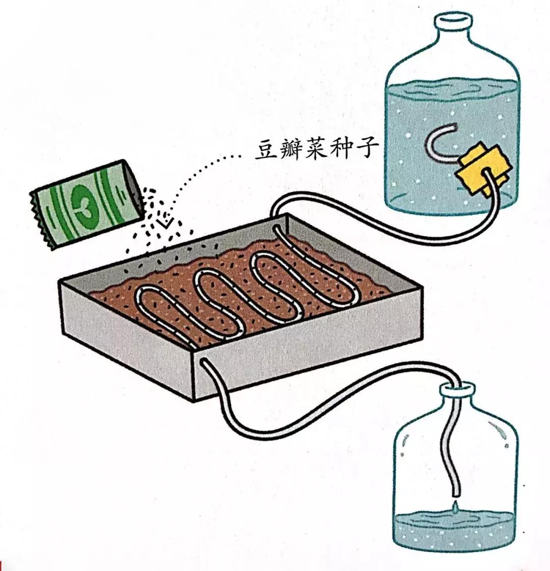 水肥一体化滴灌简易制作,农田滴灌制作全过程