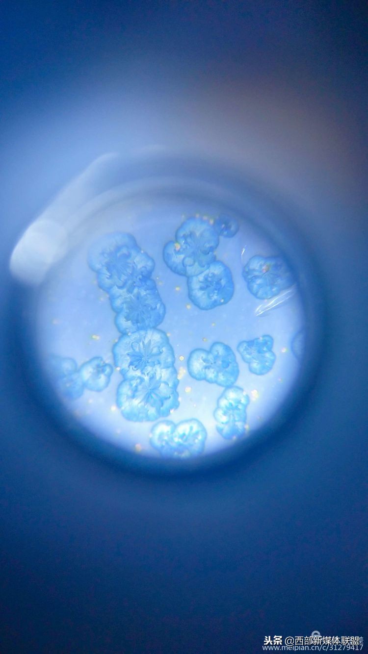 华宁年轻人多的地方,华宁县的人怎么样