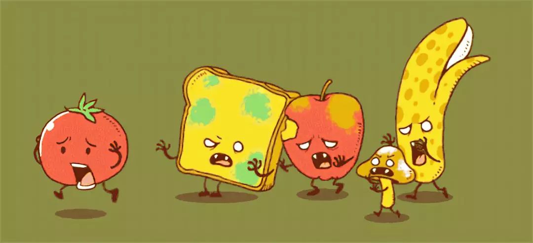 三十种不能吃的小食品,不能喂猫的食物