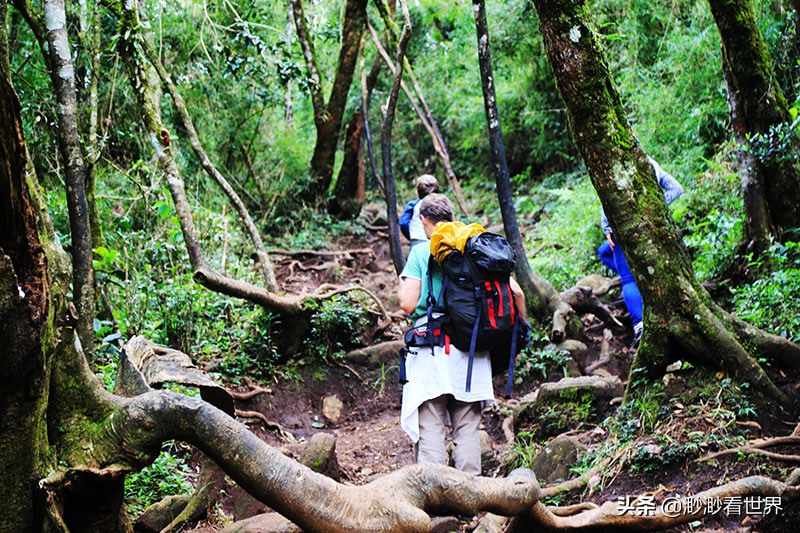 去斯里兰卡旅游攻略,1月去斯里兰卡旅游的最佳攻略