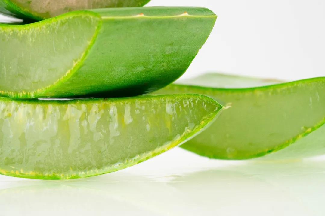 家中的绿植哪些会引起皮肤过敏,家里养的绿植碰了身上痒什么原因