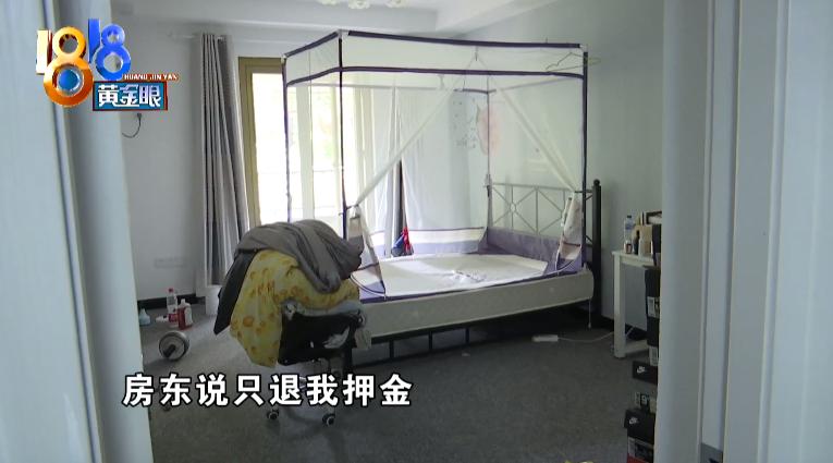 床上出现褐色小虫子书虱,背上长满小疙瘩是螨虫的房子吗