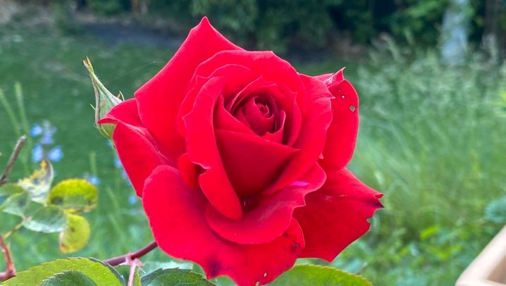 华为p40pro摄像头具体介绍,华为p40pro能检测针孔摄像头