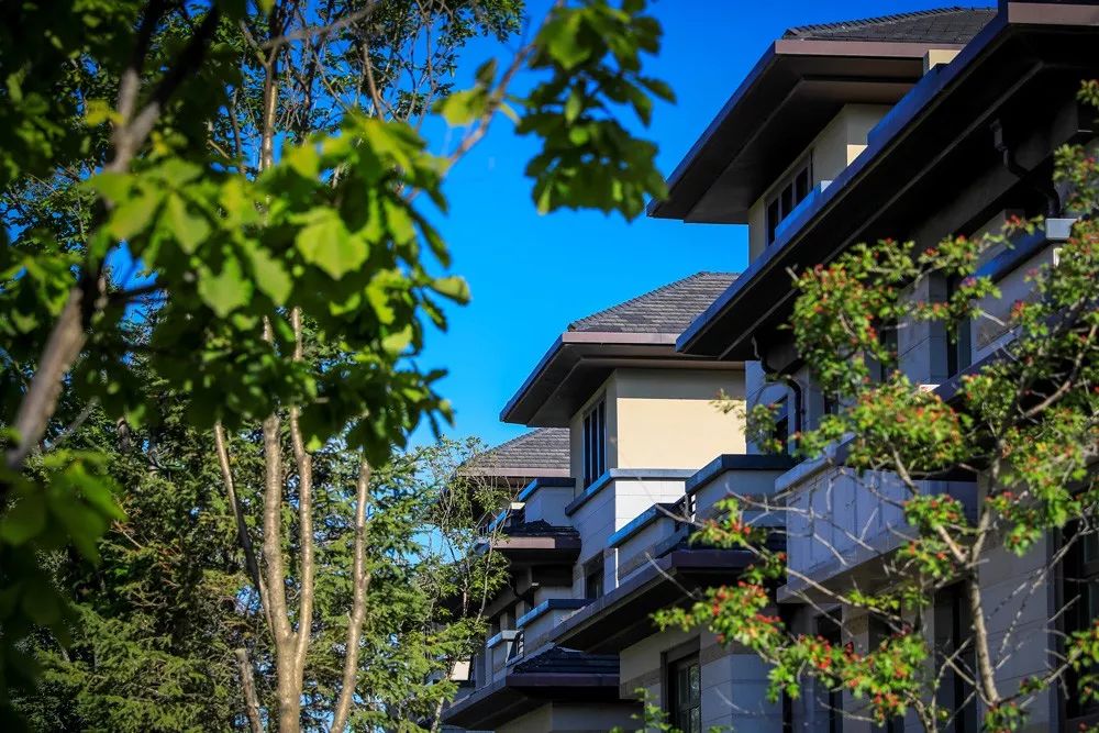 净月改善楼盘,净月改善