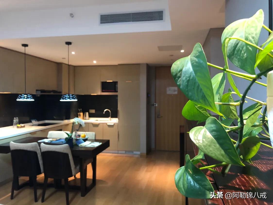 成旅旅游酒店式公寓,莎玛大庆服务式公寓酒店