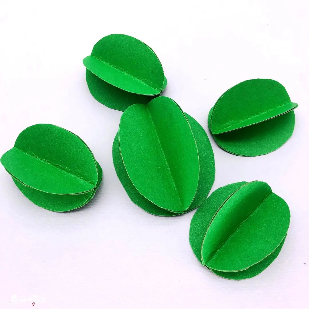 小刺猬植物名称是什么,跟刺猬一样的植物