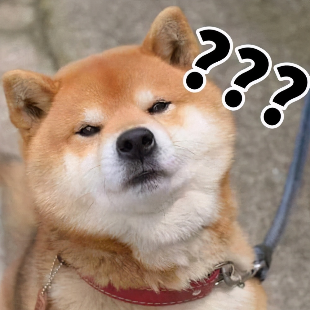 泰迪狗狗眼屎多是怎么回事,狗狗眼屎多黄脓状用什么药