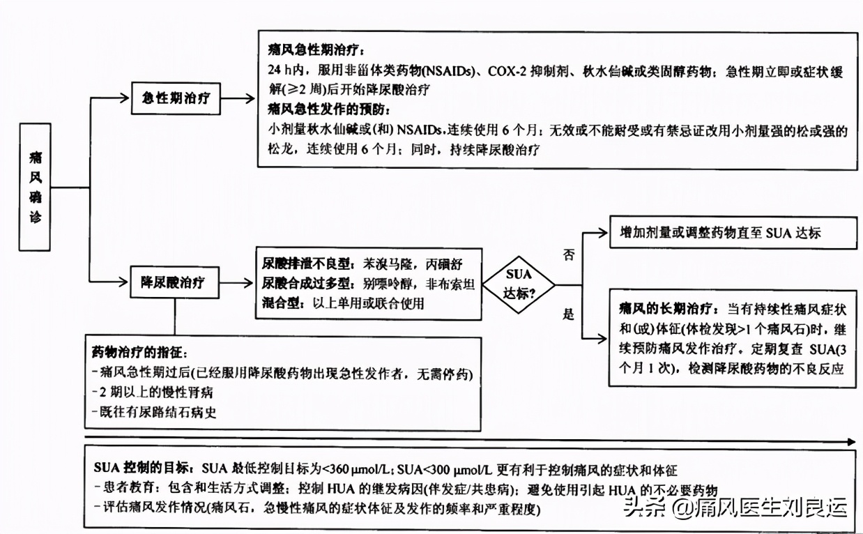 痛风医生建议不手术治疗,痛风尿酸高医生说不用吃药多喝水
