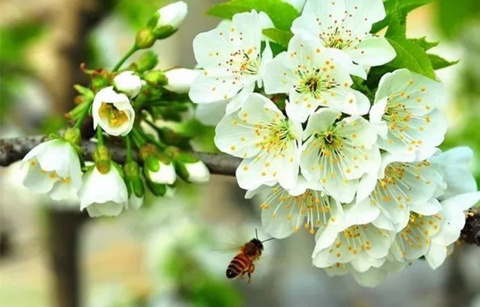 再过30天全世界都会羡慕中国的美,再过一个月全国都要羡慕昆明吗