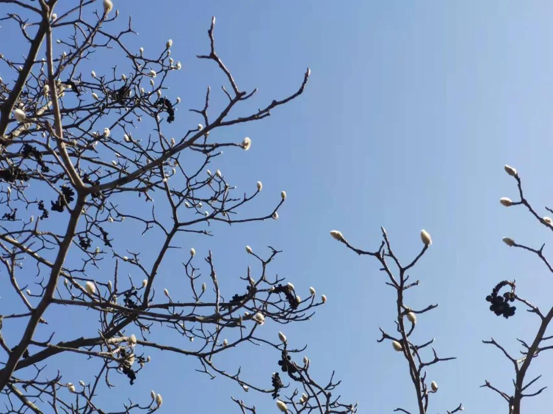 行走｜物华天宝宝华山