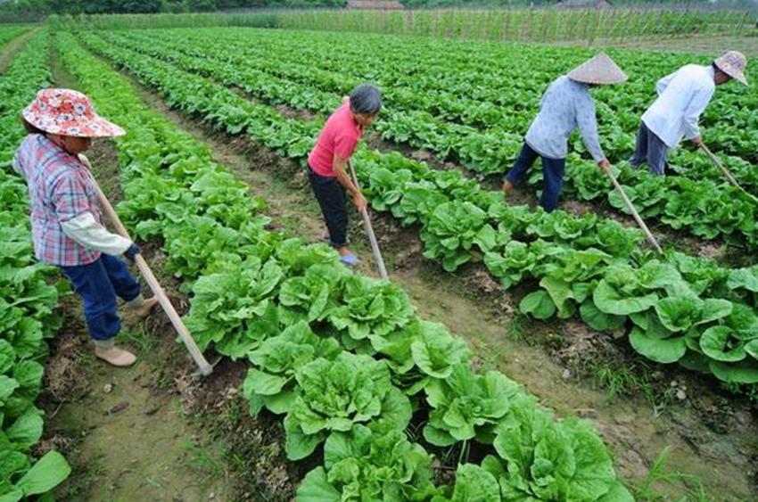 古代冬天没有棉花怎么办,古人没有冰箱怎么保鲜食物