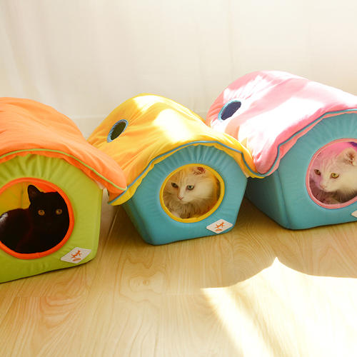 猫最好用什么猫窝,各种猫窝的视频大全